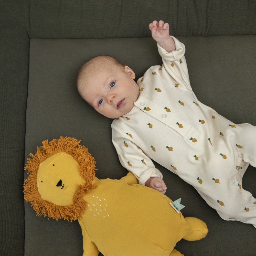 Plush Toy Mr. Lion (26cm) - Trixie - Image 2