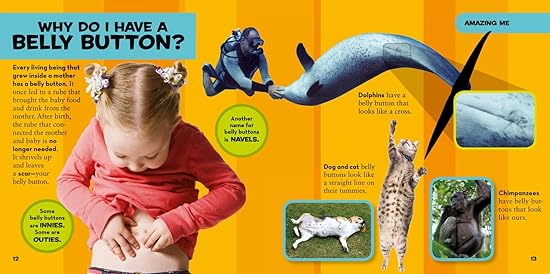 National Geographic Kids - First Big Book of Why - Amy Shields - Image 2
