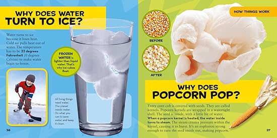 National Geographic Kids - First Big Book of Why - Amy Shields - Image 3