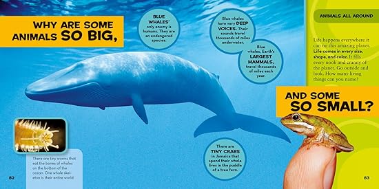 National Geographic Kids - First Big Book of Why - Amy Shields - Image 4