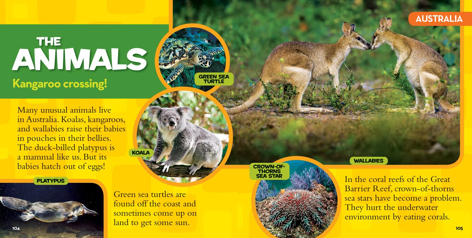 National Geographic Kids - Little Kids First Big Book of the World - Elizabeth Carney - Image 7